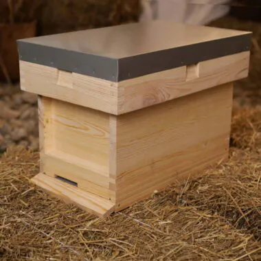 B.S. National Nucleus Hive (Nuc Box)
