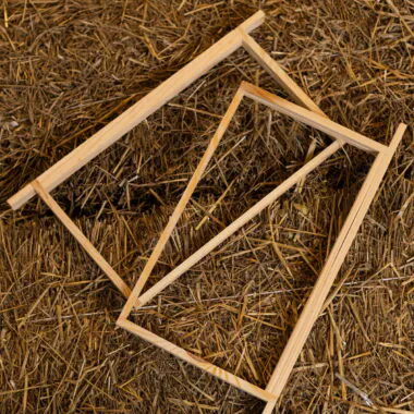 DN1 (Brood) Frames