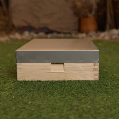 B.S. National Nucleus Hive (Nuc Box)