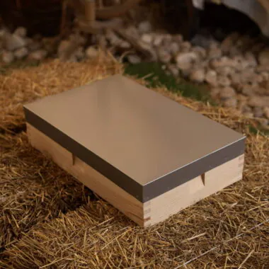 B.S. National Nucleus Hive (Nuc Box)