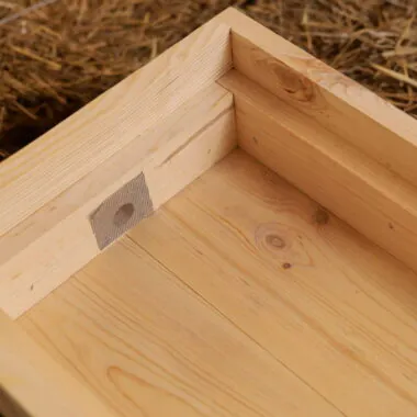 B.S. National Nucleus Hive (Nuc Box)
