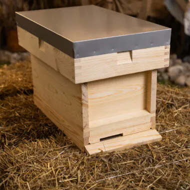 B.S. National Nucleus Hive (Nuc Box)