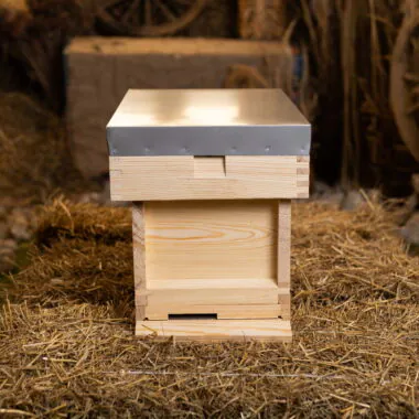 B.S. National Nucleus Hive (Nuc Box)