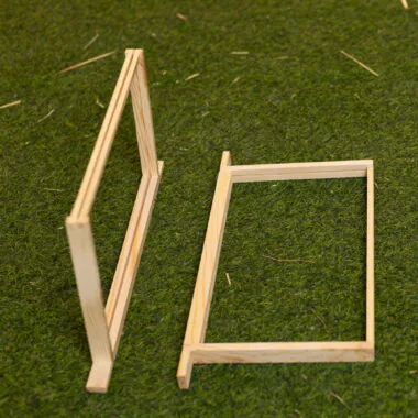 DN1 (Brood) Frames