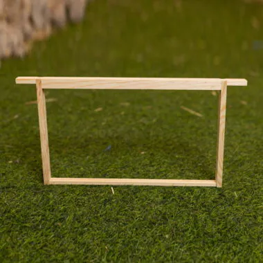DN1 (Brood) Frames